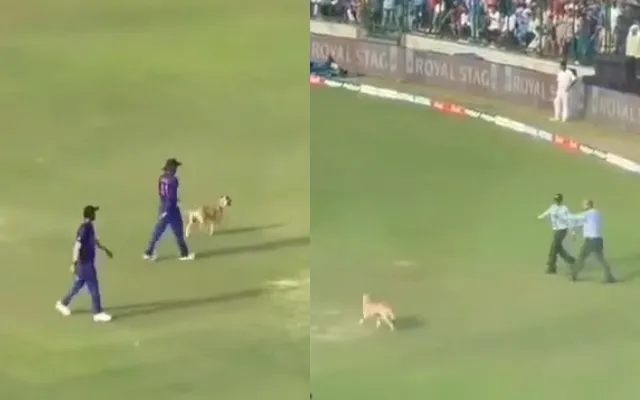 Dog invades India vs South Africa third ODI